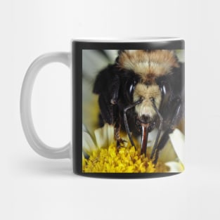 Large bumblebee gathering food on a flower Mug